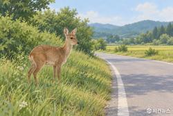 청주 척산리 국도 17호선, AI 로드킬 경고시스템 시범 운영